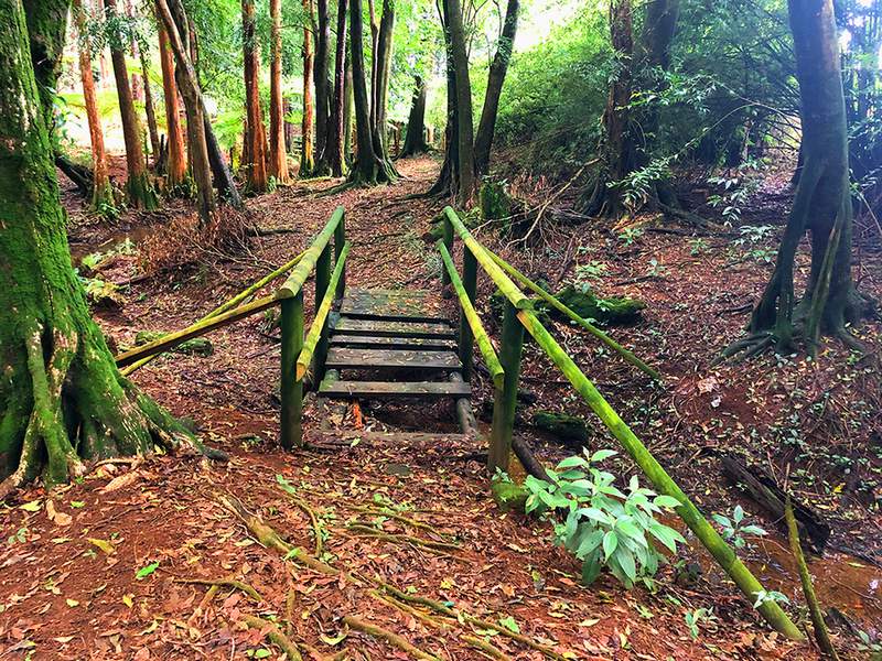 nature ile Maurice 