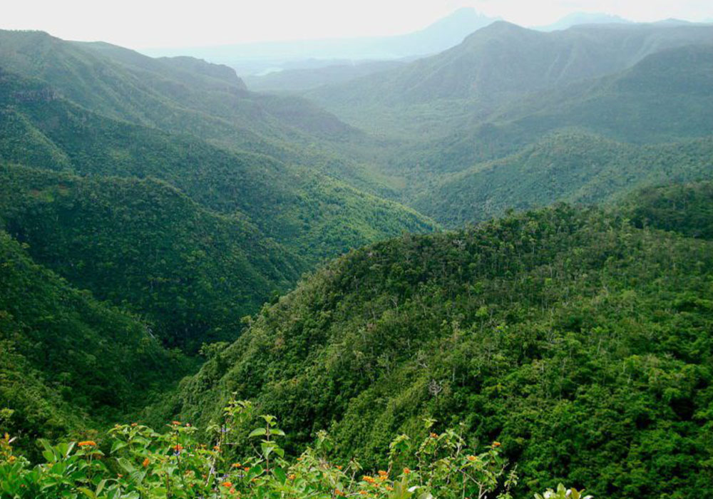 nature ile Maurice 